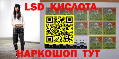 гидропоника Кингисепп