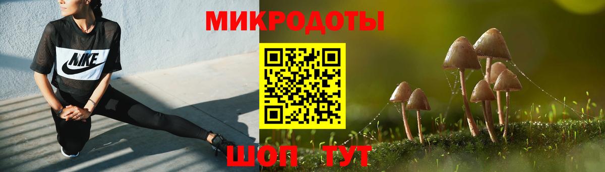 Псилоцибиновые грибы Magic Shrooms  Галлюциногенные грибы Psilocybe  Вход с VPN  Ярославль 